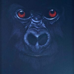 2526 - Gorilla